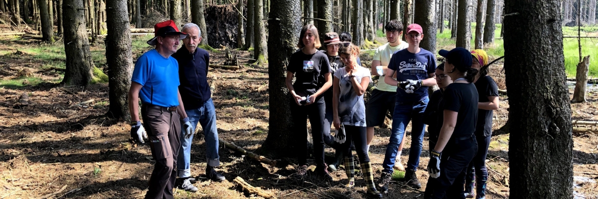 Umweltschutz im Nationalpark Hunsrück 